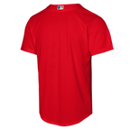 Boston Red Sox Nike Youth Alternate Replica Jersey - Red