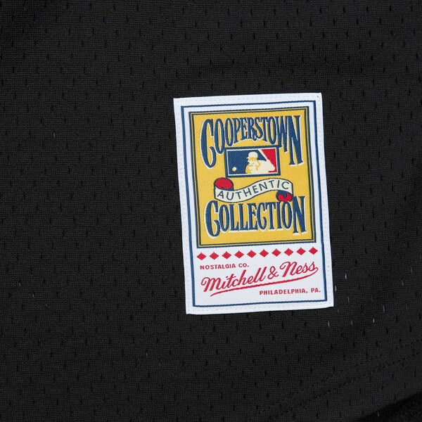 Craig Biggio Houston Astros Cooperstown Mesh Batting Practice Jersey - Black