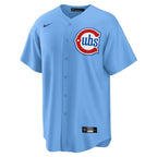 Dansby Swanson Chicago Cubs Nike 2nd Alternate Replica Player Jersey - Blue