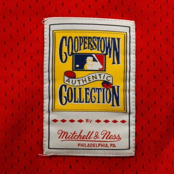 Dale Murphy Atlanta Braves 1980 Authentic Cooperstown Collection Mesh Batting Practice Jersey - Red/Royal