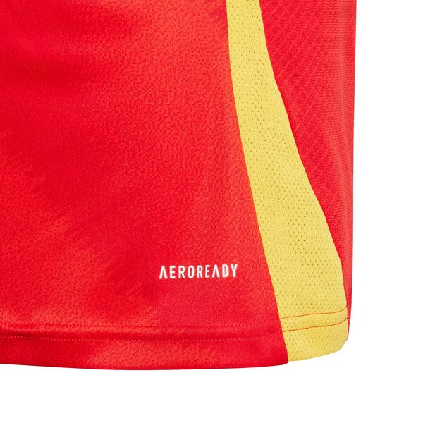 Spain National Team adidas Youth 2024 Home Replica Jersey - Scarlet