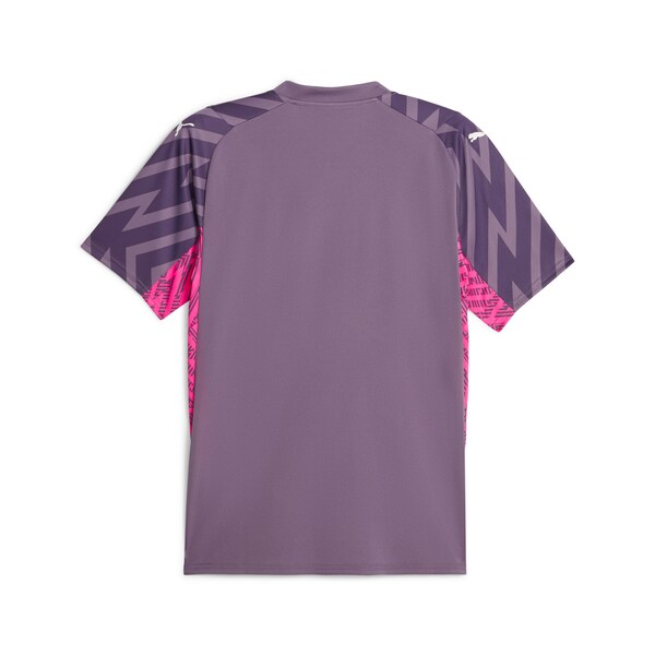 Manchester City Puma 2023/24 Replica Short Sleeve Goalkeeper Jersey - Purple