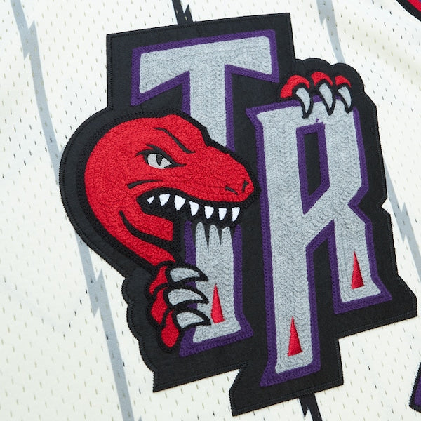 Vince Carter Toronto Raptors Chainstitch Swingman Jersey - Cream