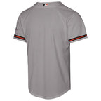 Baltimore Orioles Nike Youth 2025 MLB All-Star Game Road Replica Jersey - Gray