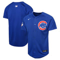 Chicago Cubs Nike Youth Alternate Limited Jersey - Royal