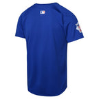 Chicago Cubs Nike Youth Alternate Limited Jersey - Royal
