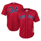 David Ortiz Boston Red Sox Toddler Cooperstown Collection Mesh Batting Practice Jersey - Red