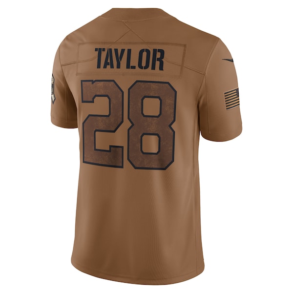 Brett Favre Green Bay Packers Nike 2023 Salute To Service Limited Jersey - Brown