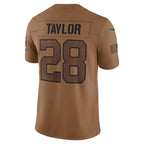 Brett Favre Green Bay Packers Nike 2023 Salute To Service Limited Jersey - Brown