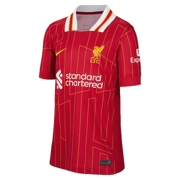Virgil van Dijk Liverpool Nike Youth 2024/25 Home Replica Player Jersey – Red