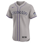 Colorado Rockies Nike Road 2024 Jackie Robinson Day Elite Jersey - Gray