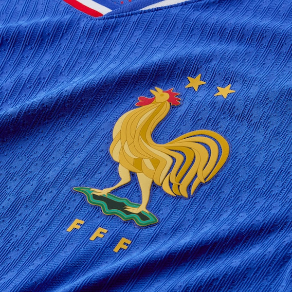 France National Team Nike 2024 Home Authentic Blank Jersey - Blue