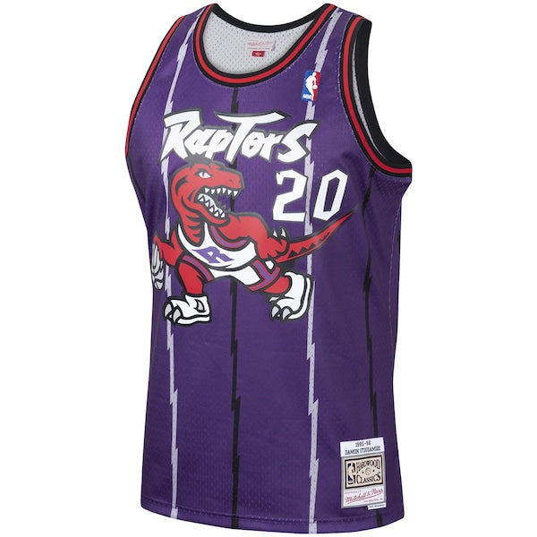 Damon Stoudamire Toronto Raptors 1995/96 Hardwood Classics Swingman Jersey - Purple