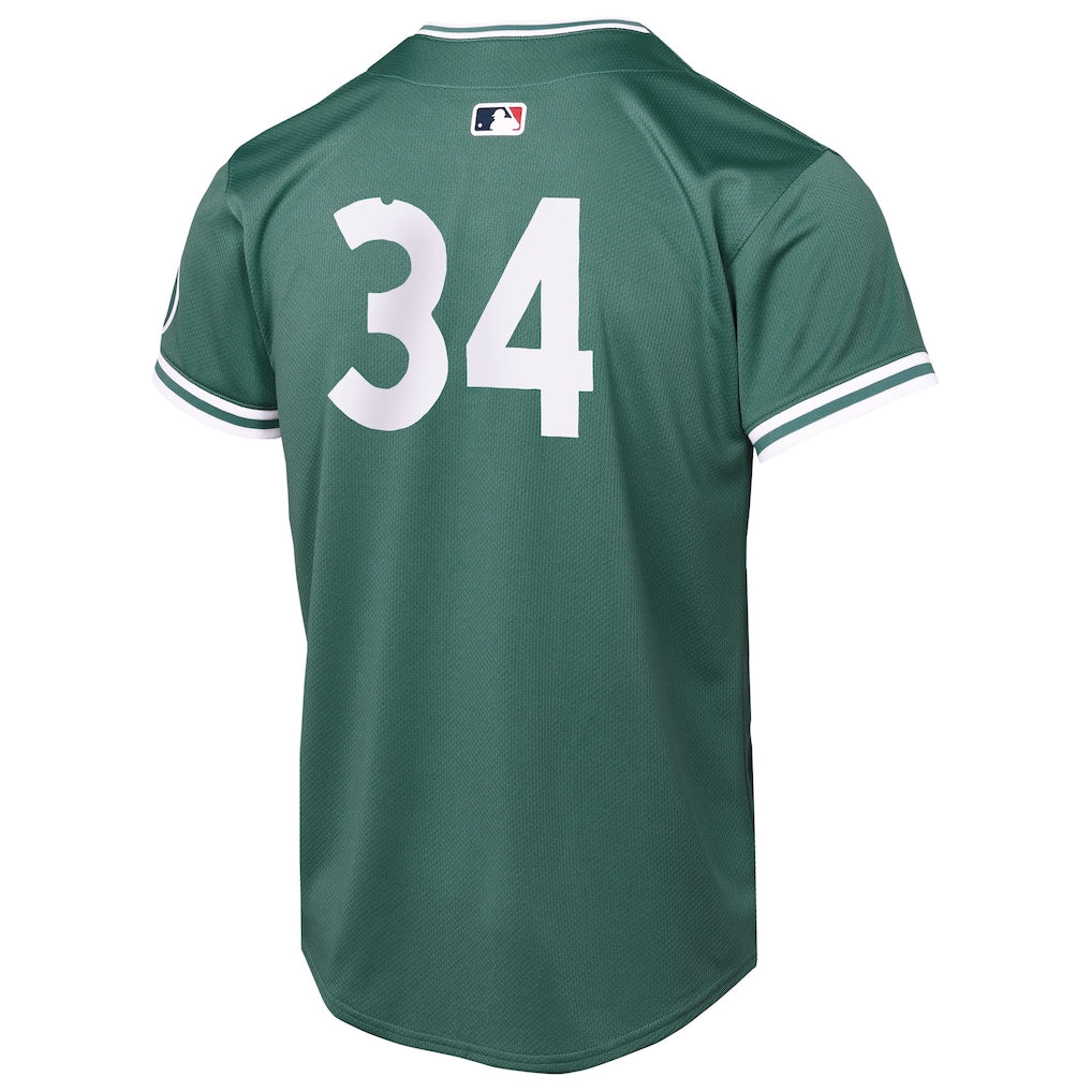 David Ortiz Boston Red Sox Nike Youth 2025 City Connect Limited Retired Player Jersey - Green