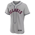 Willson Contreras St. Louis Cardinals Nike 2024 Rickwood Classic Authentic Player Jersey - Gray
