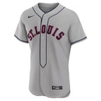 Paul Goldschmidt St. Louis Cardinals Nike 2024 Rickwood Classic Authentic Player Jersey - Gray