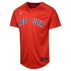 Rafael Devers Boston Red Sox Nike Youth Alternate Limited Player Jersey - Red